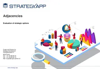 Strategic Options Evaluation and Expansion Opportunities by Furger & Partner Inc.