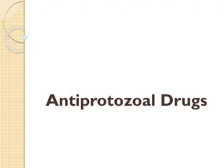 Antiprotozoal Drugs: A Brief Overview