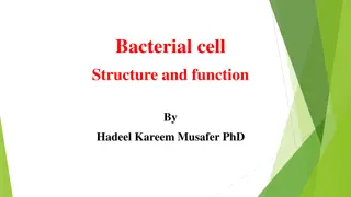 Bacterial Cell Structure and Function