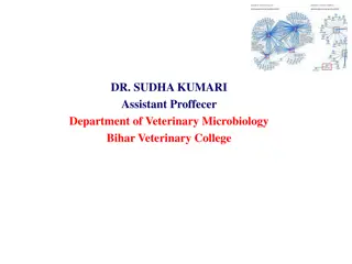 Bacterial Transformation in Molecular Biology