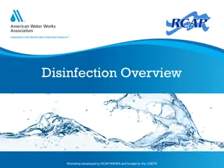 Comprehensive Overview of Water Disinfection and Chlorination Basics