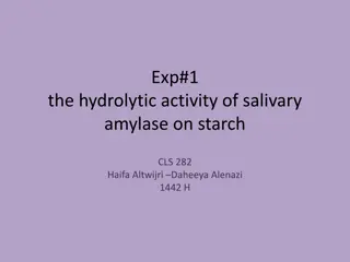 The Hydrolytic Activity of Salivary Amylase on Starch