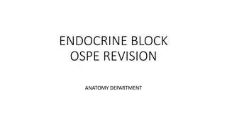 Endocrine Block OSPE Revision - Anatomy Department Presentation Slides