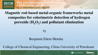 Colorimetric Detection of Hydrogen Peroxide Using Magnetic Rod-Based Metal-Organic Framework Composites