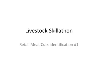 Livestock Skillathon Meat Cuts Identification Images