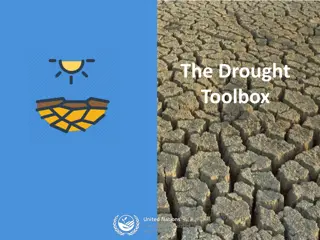 The Drought Toolbox and Satellite Technology Overview