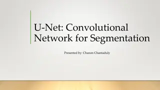 U-Net: A Convolutional Network for Image Segmentation