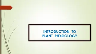 Introduction to Plant Physiology: Exploring the Functioning of Plants