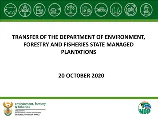 Restructuring of State Managed Plantations by Department of Environment, Forestry, and Fisheries