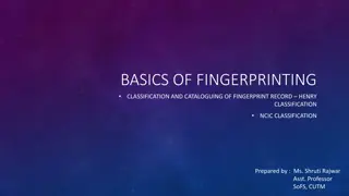 Overview of Fingerprint Classification and Cataloguing Methods