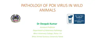 Pathology of Pox Virus in Wild Animals by Dr. Deepak Kumar