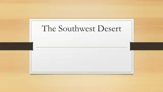 Life in the Southwest Desert Region