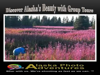 Discover Alaska's Beauty with Group Tours