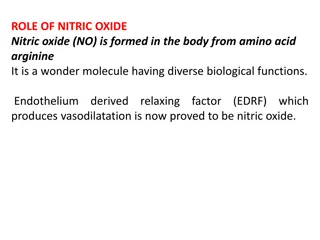 Role of Nitric Oxide in the Body: Functions, Formation, and Clinical Aspects