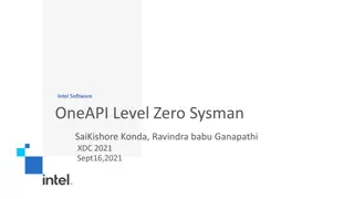 Intel Software OneAPI Level Zero Sysman Overview