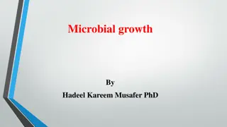 Microbial Growth Phases