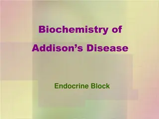 The Biochemistry of Addison's Disease in the Endocrine System