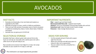 All About Avocados: Facts, Nutrients, Selection Tips, and Activities