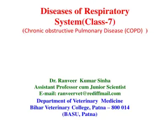 Chronic Obstructive Pulmonary Disease (COPD) in Horses: A Veterinarian's Perspective