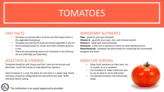 Tantalizing Tomatoes: Fast Facts, Nutrients, and Fun Activities