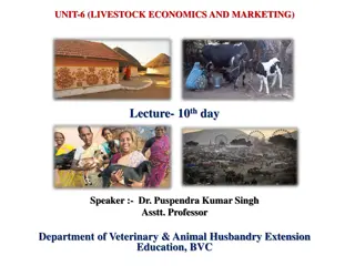 Understanding Production Decision Making in Livestock Economics and Marketing