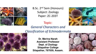 General Characters and Classification of Echinodermata in Zoology: B.Sc. 2nd Sem