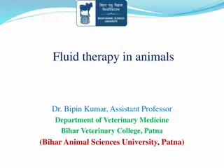 Fluid Therapy in Animals: Basics and Indications