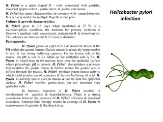 Helicobacter Pylori: Characteristics, Pathogenesis, and Diagnosis