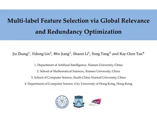 Global Relevance and Redundancy Optimization in Multi-label Feature Selection