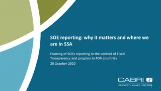 Challenges and Importance of State-Owned Enterprise Reporting in Sub-Saharan Africa