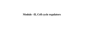 Regulation of the Cell Cycle: A Comprehensive Overview