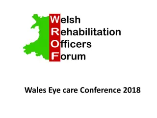 Enhancing Vision Rehabilitation Services in Wales