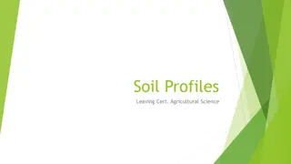 Soil Profiles in Agricultural Science