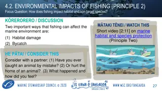 Environmental Impacts of Fishing: Habitat Damage and Bycatch