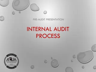 Internal Audit and Controls Process