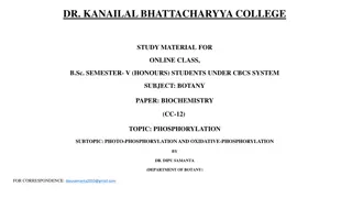 Photophosphorylation and Oxidative Phosphorylation in Biochemistry