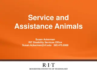 Service and Assistance Animals Guidelines at RIT