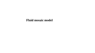 The Fluid Mosaic Model of Plasma Membrane Structure