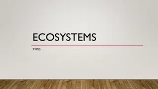 Different Types of Ecosystems and Their Characteristics