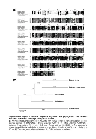 Plant Enzyme Activities and Phylogenetic Analysis