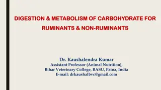 Carbohydrate Digestion and Metabolism in Ruminants and Non-Ruminants