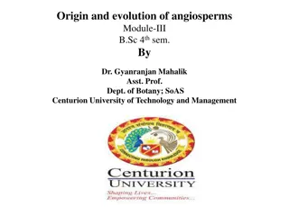 Origin and Evolution of Angiosperms: Insights into Their Phylogenetic Origins