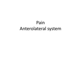 Pain: Mechanisms and Pathways