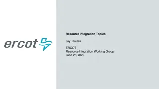 Resource Integration Topics for Large Generation Projects: Planning and Synchronization