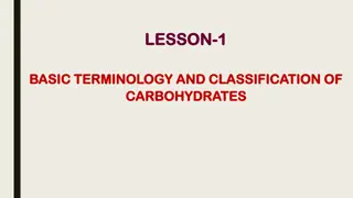 Understanding Basic Terminology and Classification of Carbohydrates