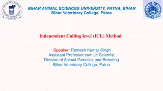 Independent Culling Level (ICL) Method in Animal Breeding