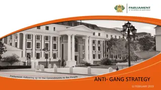 National Anti-Gang Strategy Overview