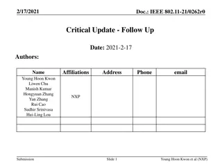 IEEE 802.11-21/0262r0 Critical Updates Discussion Summary