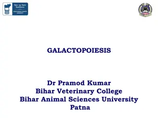 Understanding Galactopoiesis and Milk Ejection in Veterinary Science