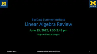 Linear Algebra Review for Big Data Summer Institute